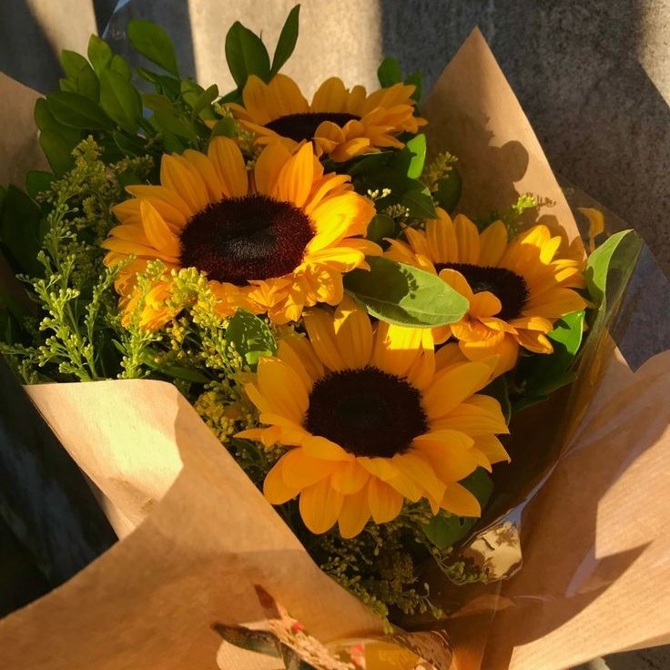 ͏͏
      
͏͏͏͏                 who shines like a sunflower, happy mother's day to my mamalie. <a href="/sulatope/">alie, check pinned 📌</a> 
        
͏͏