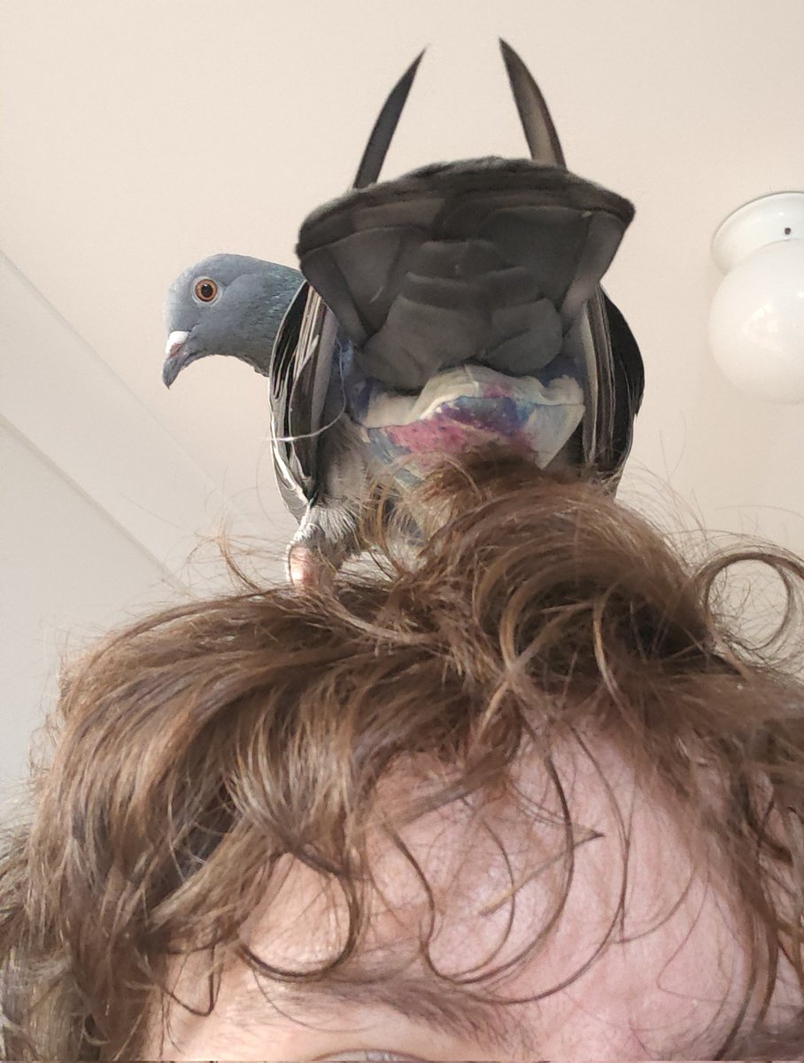 deepc_cryptid's tweet image. 🌊 Hello! I&apos;m Squid 🌊 local deep sea cryptid 🌊 backrooms enthusiast 🌊 pigeon dad 🌊

🩵 I&apos;m in your walls right now 🩵 

🩵 Add me on Pokemon go - 1907 9441 1995 🩵

Suit by @Skyehighstudios 🩵 
Photos taken by my boyfriend @Oni_Mutt 🩵