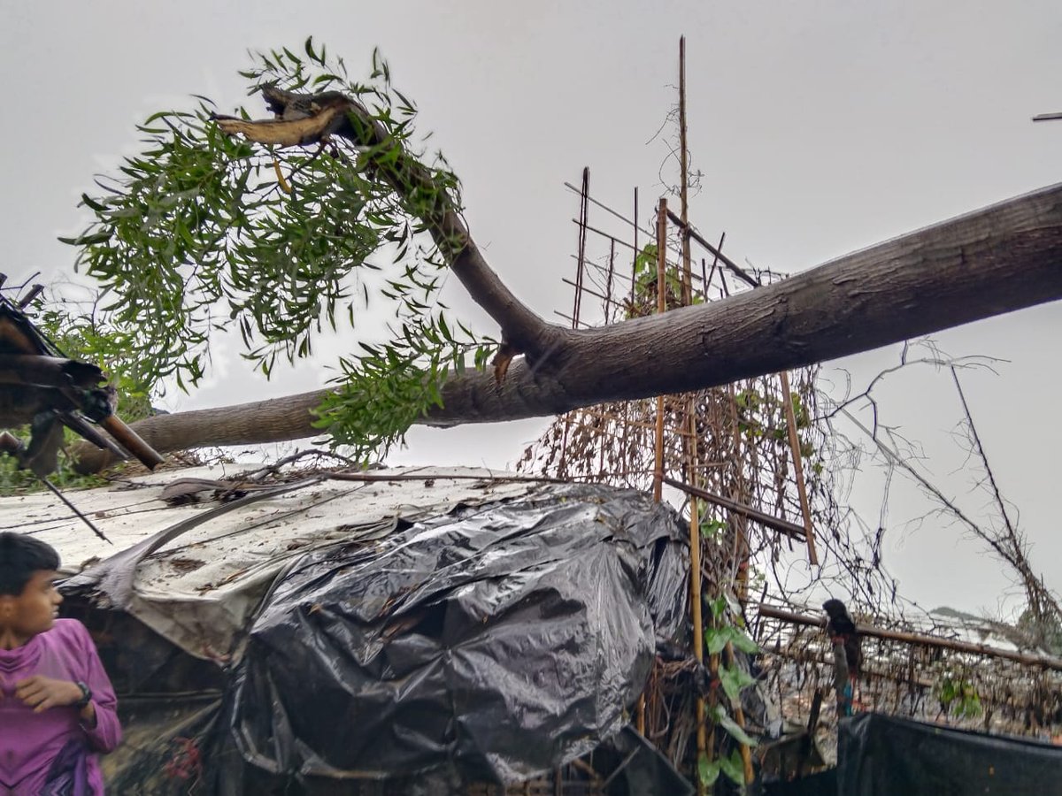 resty_lou's tweet photo. Uprooted trees are damaging shelters in the camp settlement  in Cox's Bazar brought by #CycloneMocha 

Camp volunteers are responding to assist affected families. 

#CPP @BDRCS1 
@ifrc @IFRCAsiaPacific 
@RedCross @StatePRM 

Photos: Camp volunteers https://t.co/Sa1AQFM8wz