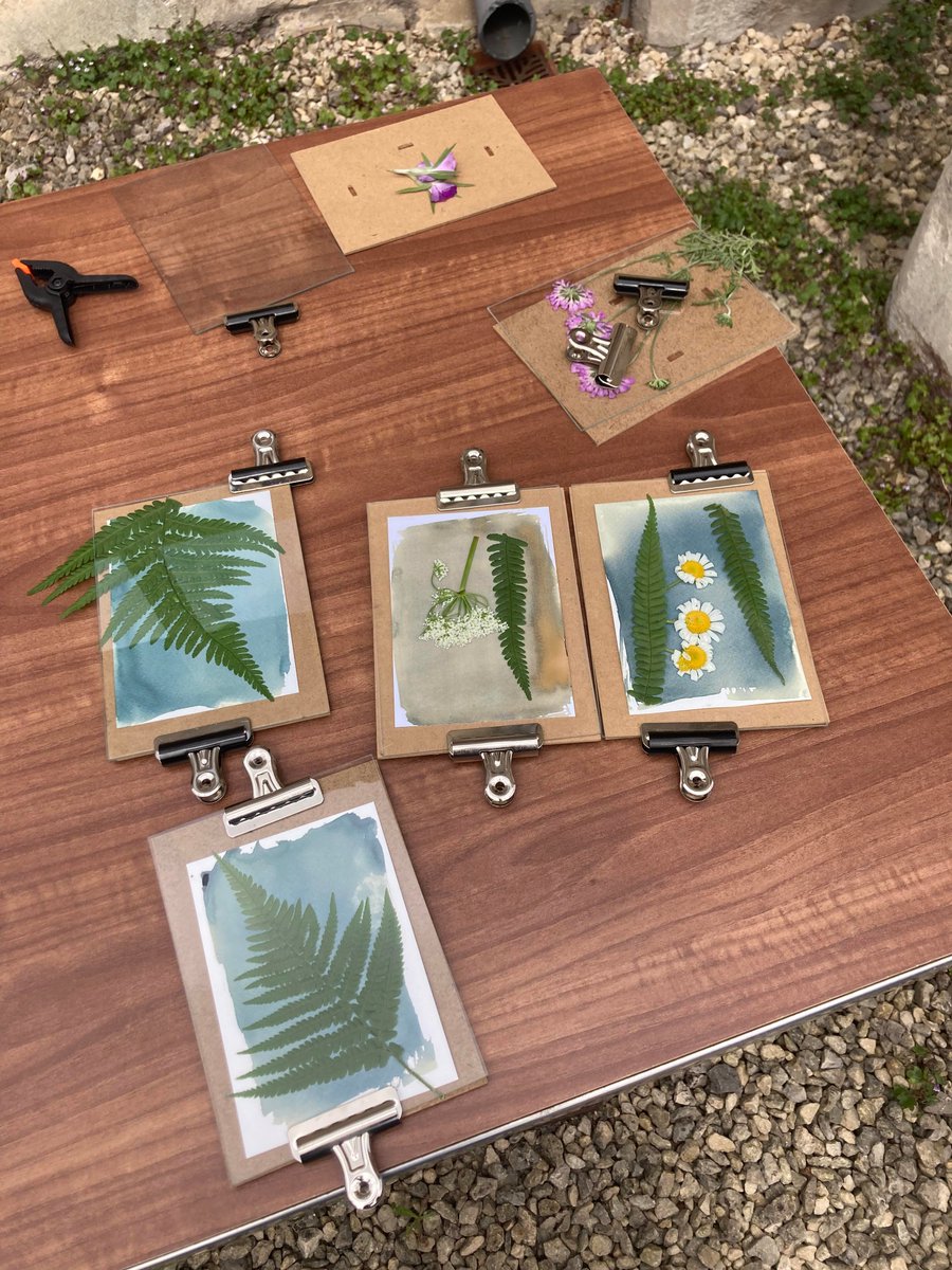 MuseumOfGlos's tweet image. Less than a week to go until you can make your own beautiful plant prints with Fine Art Photographer Lisa Lavery in the stunning surroundings of @GlosBlackfriars!

📅 Sat 20 May, 10am-3pm
🎟️ £60
🪑 Only 8 spaces available
👇
museumofgloucester.co.uk/events/cyanoty…

#Cyanotype #Anthotype