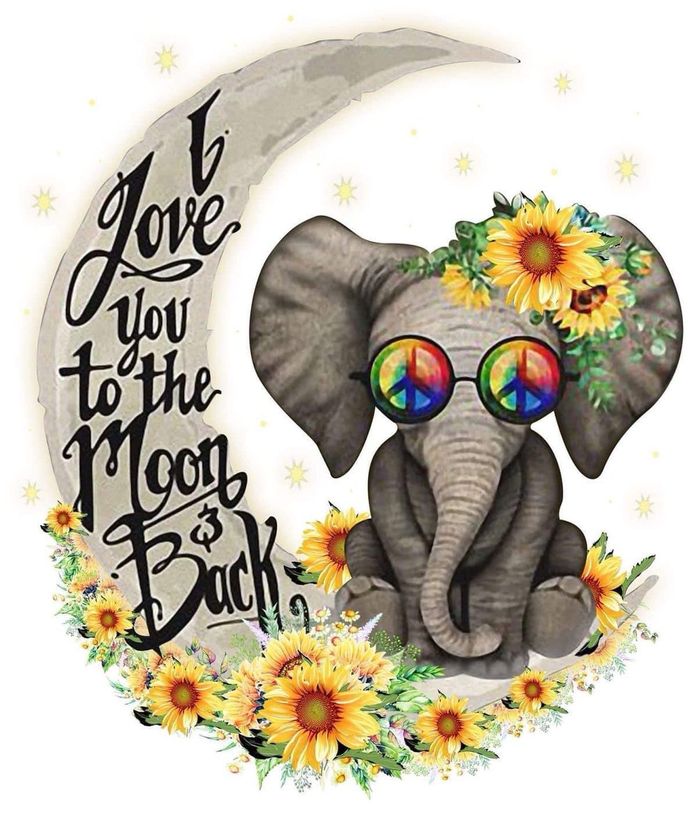 Nikki Cross tweet media