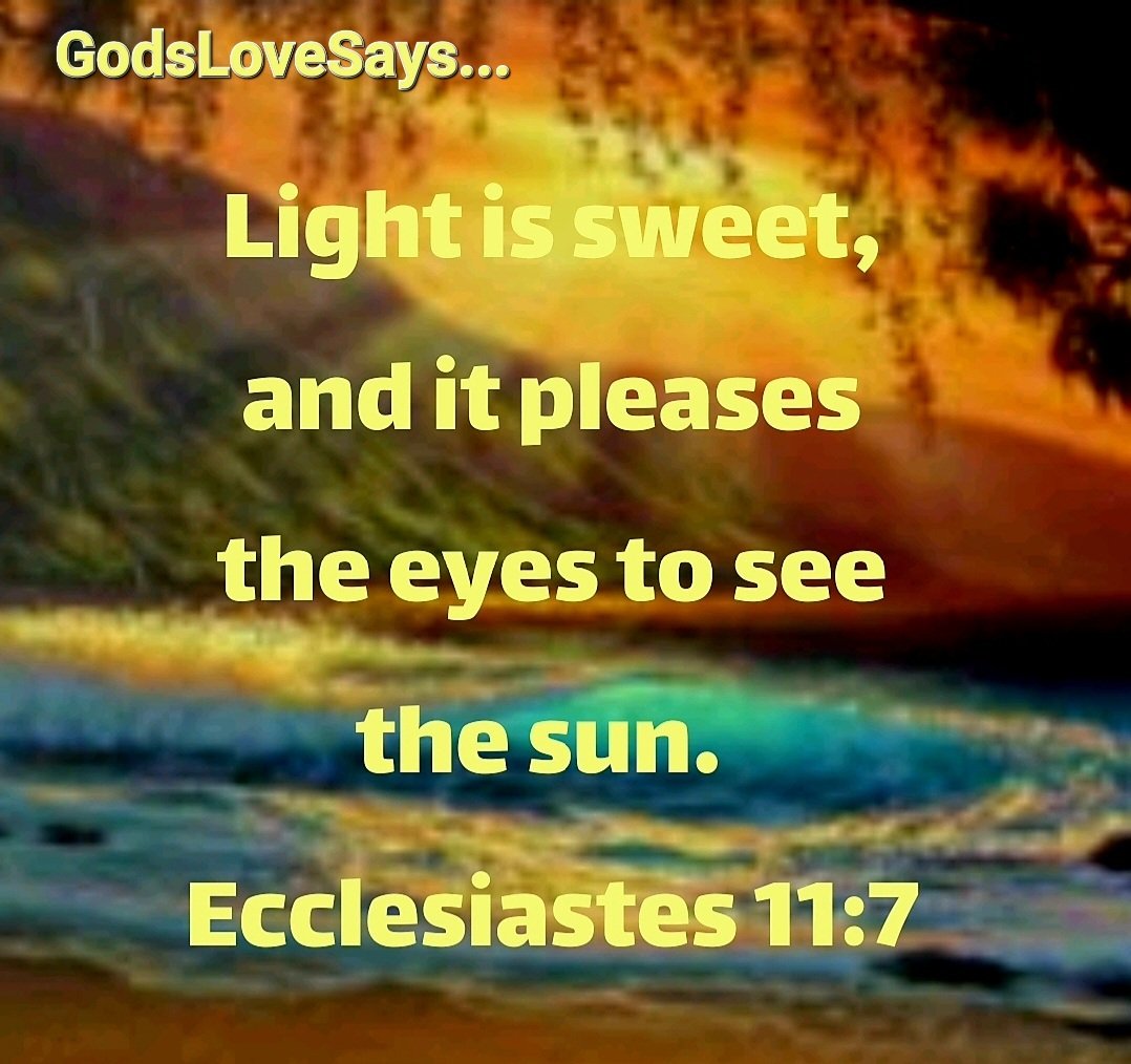 HornettPam's tweet photo. Light is sweet, and it pleases the eyes to see the sun.
โ๏ธ
Ecclesiastes 11:7
#GodsLoveSays #Ecclesiastes #light #sweet #pleases #eyes #see #sun https://t.co/57V7NPH07t