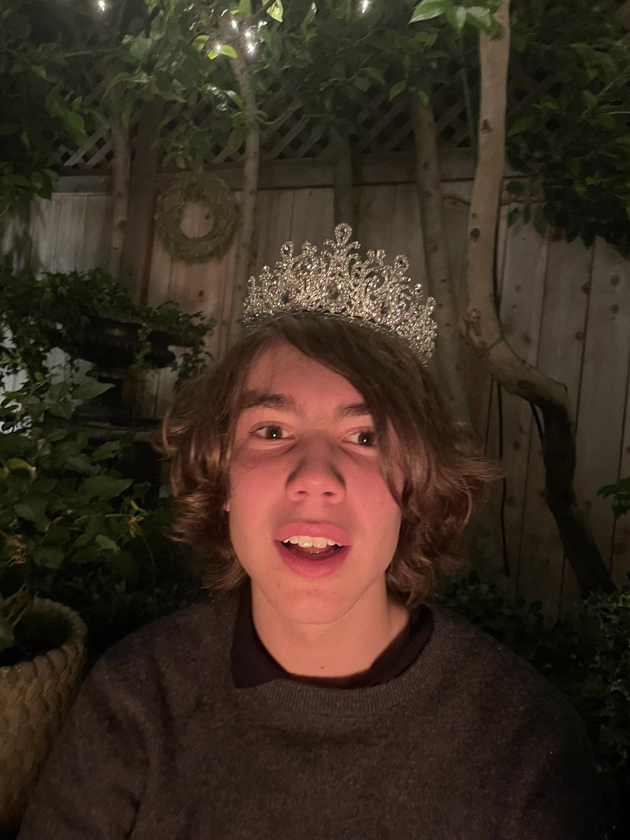 catenaryy's tweet photo. new tiara new me #prettyprincess https://t.co/Hs1BTE6koj