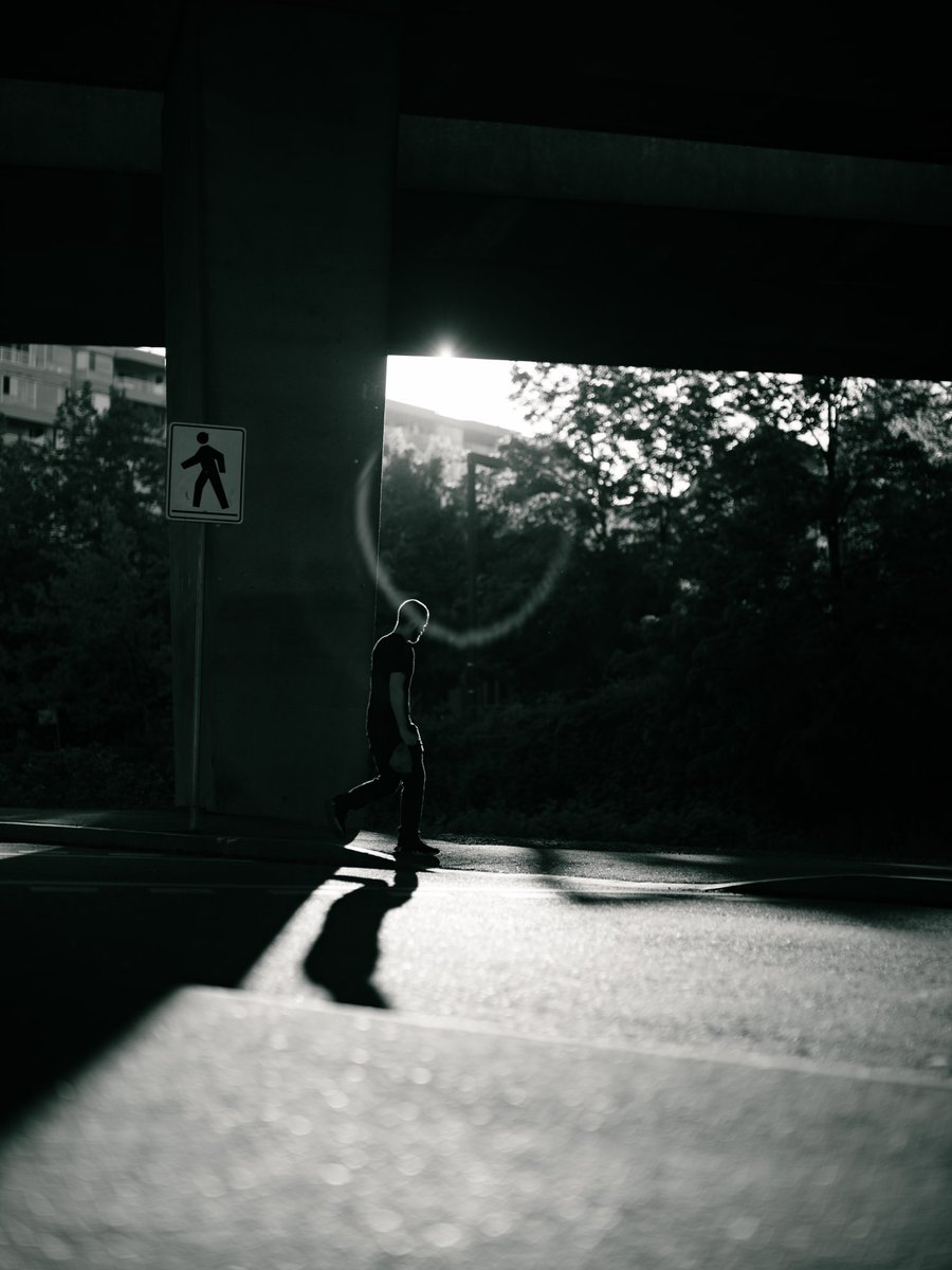 ganyfx's tweet photo. Sunset and flares
#summer #vancouversummer #fujifilm @FujiGFX  #silhouette https://t.co/qWQ5veR7rJ