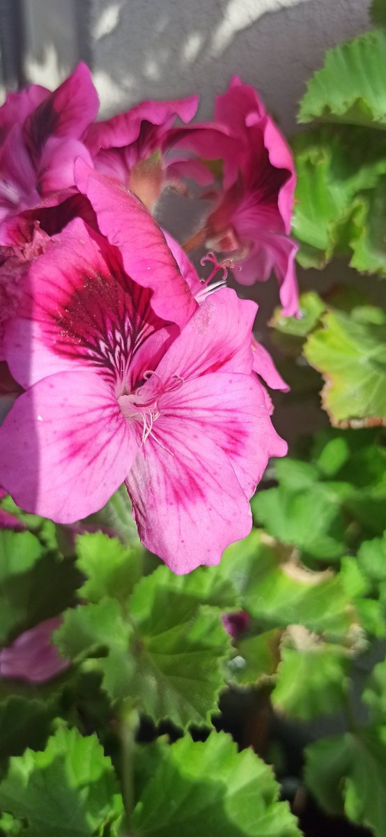 Ben Bahar geliyorum.Size söz.