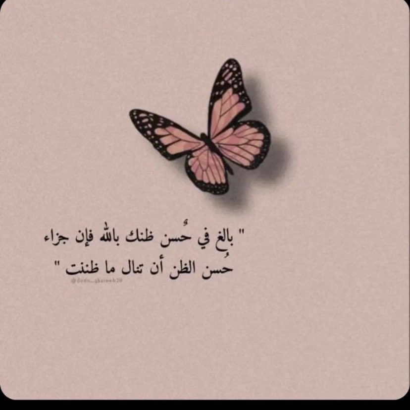 صالح (@moonrade12) on Twitter photo 