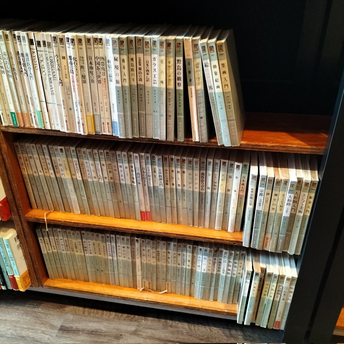 カラーブックス
たくさん買取してきましたので、コーナー作ってみました。
絶版本です趣味系の面白い本が多いですよ〜