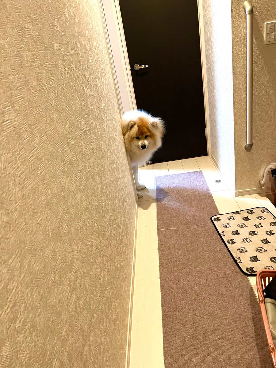 久々日記です✍️