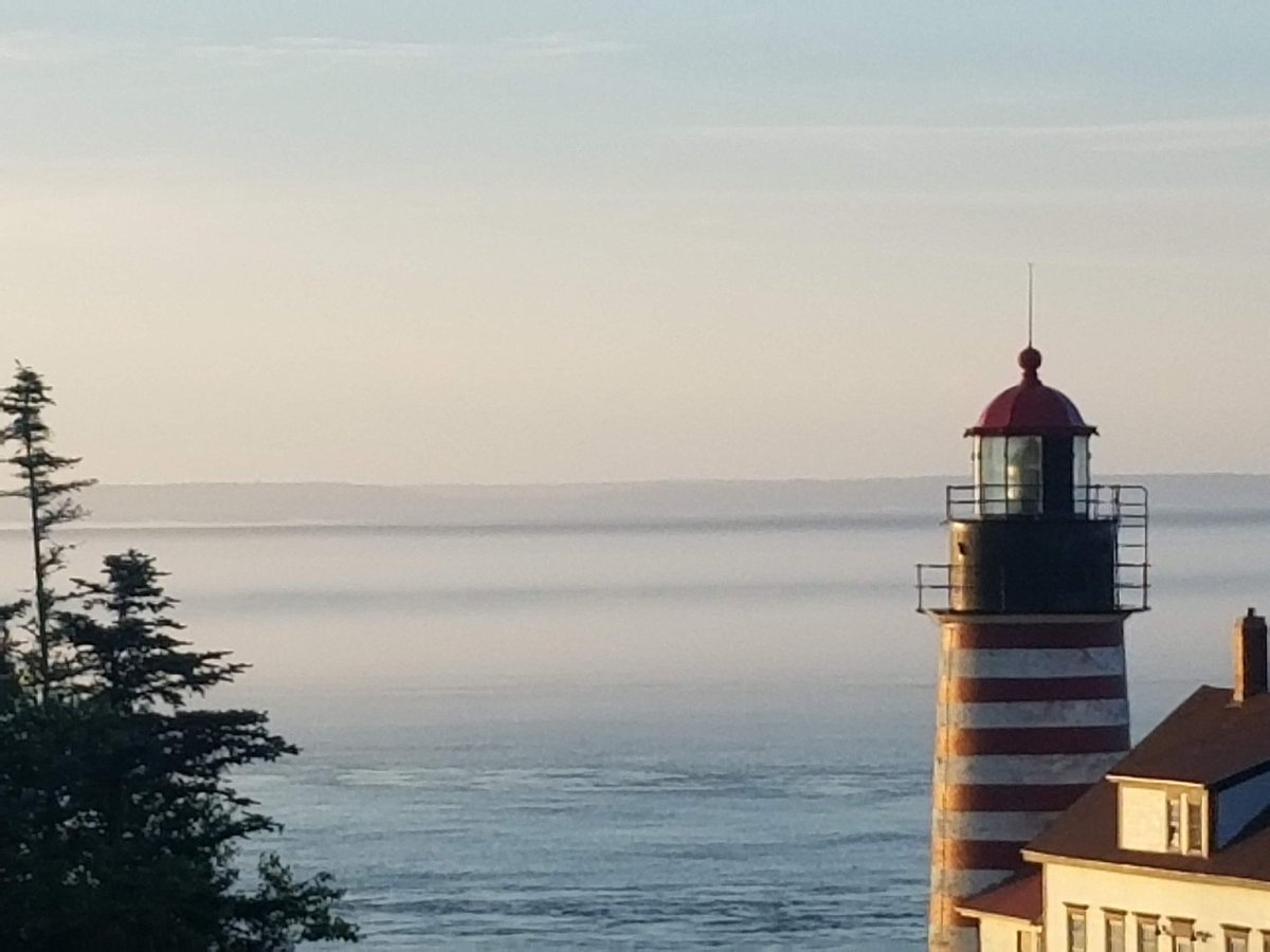 Dr. Pamela Thompson (@zeitgeist68) on Twitter photo 