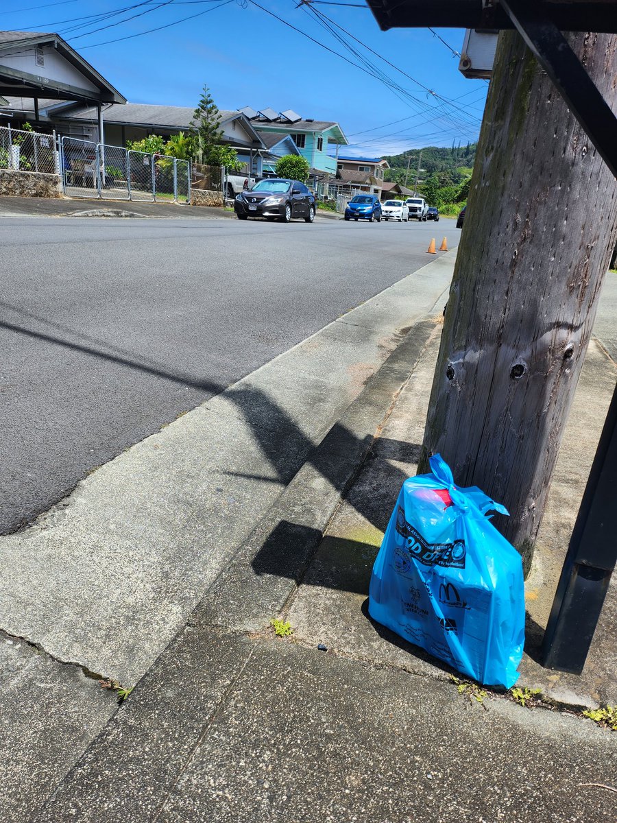 jilltokuda's tweet photo. Glad I got home in time to put out our blue bag for the annual @NALC_National @StampOutHunger drive! Mahalo for your service & commitment to community...food insecurity & hunger is real and we all have a role in stamping out hunger! #windwardstrong #giveback https://t.co/audJlabbRk