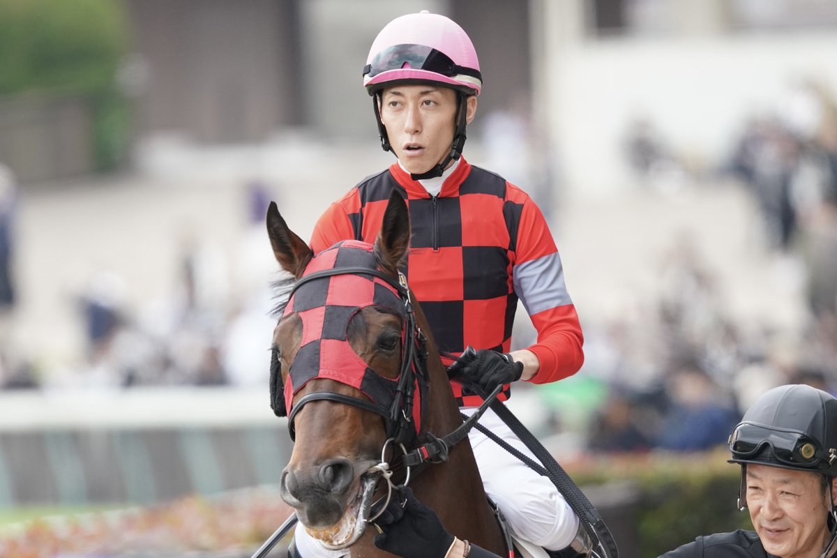 ショーヒデキラ×津村明秀騎手

#ショーヒデキラ
#津村明秀
#東京競馬場