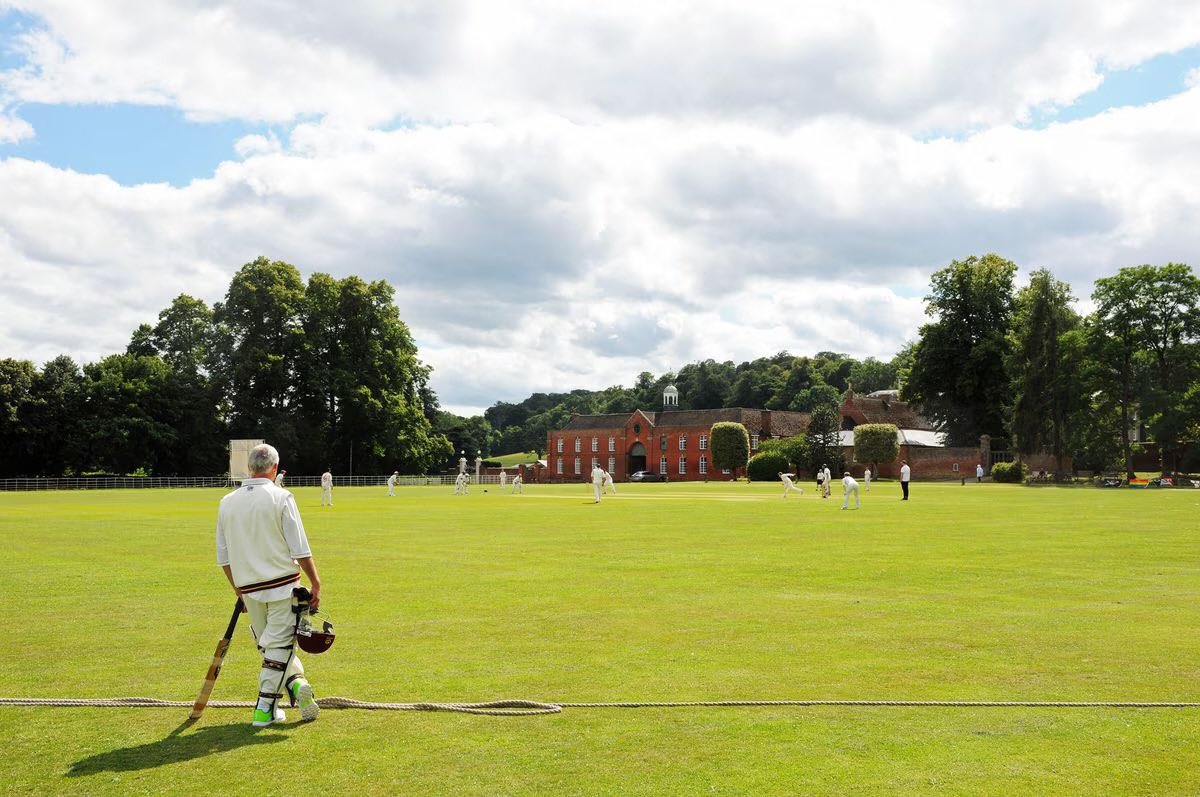 WG RumblePants tweet media