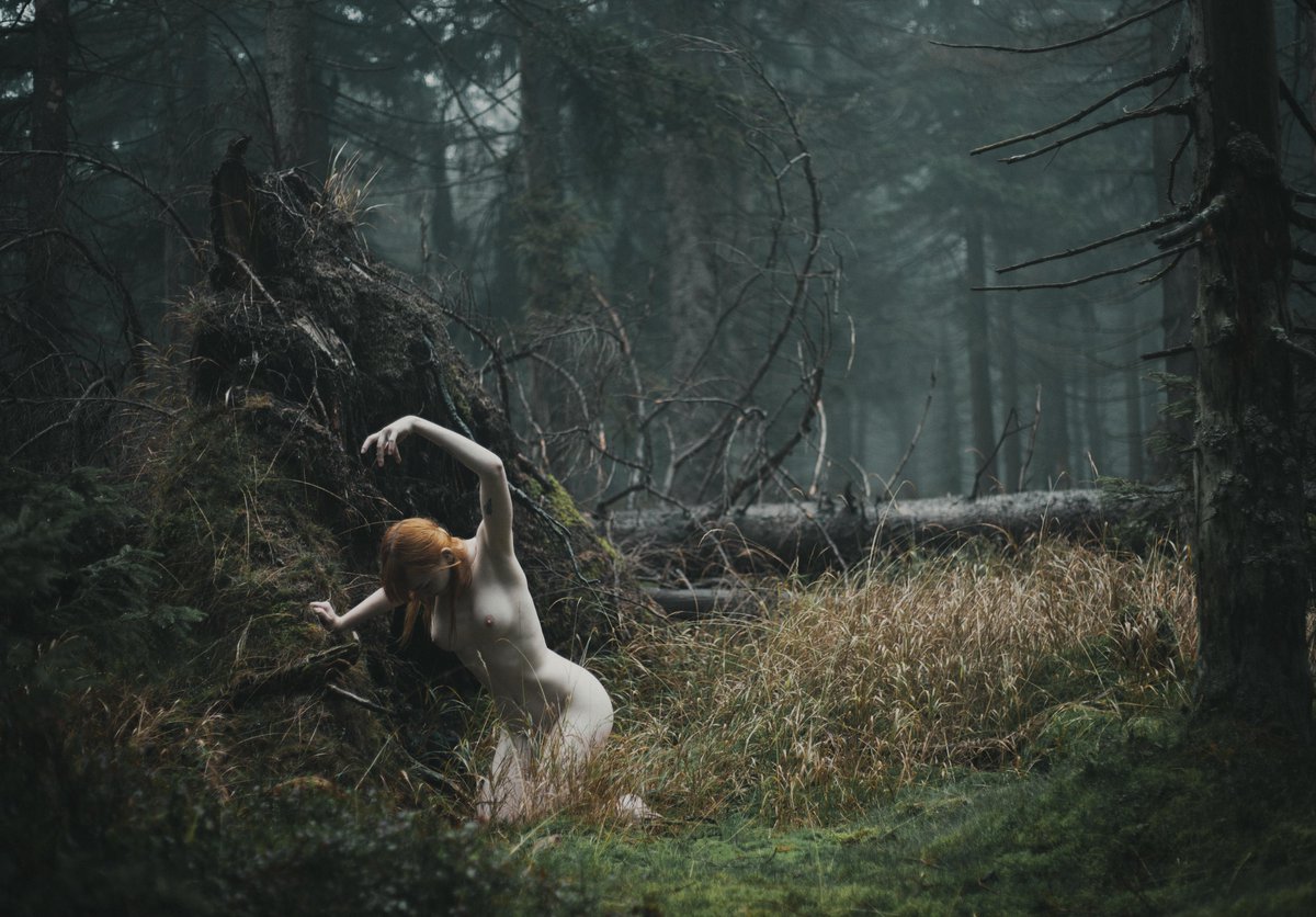 LinkParzival's tweet photo. "The forest comes alive", Erinthul, self-portrait photography, 2022. #art https://t.co/HpRLpSswL1