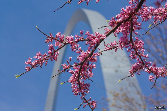 LKS (@lisa_sass) on Twitter photo You can find me under blue skies in STL, and on Bluesky here: @lisasass@bsky.social
Leave your bsky @ in comments & let’s stay connected.
(photo credit:Dan Robinson) You can find me under blue skies in STL, and on Bluesky here: @lisasass@bsky.social
Leave your bsky @ in comments & let’s stay connected.
(photo credit:Dan Robinson)