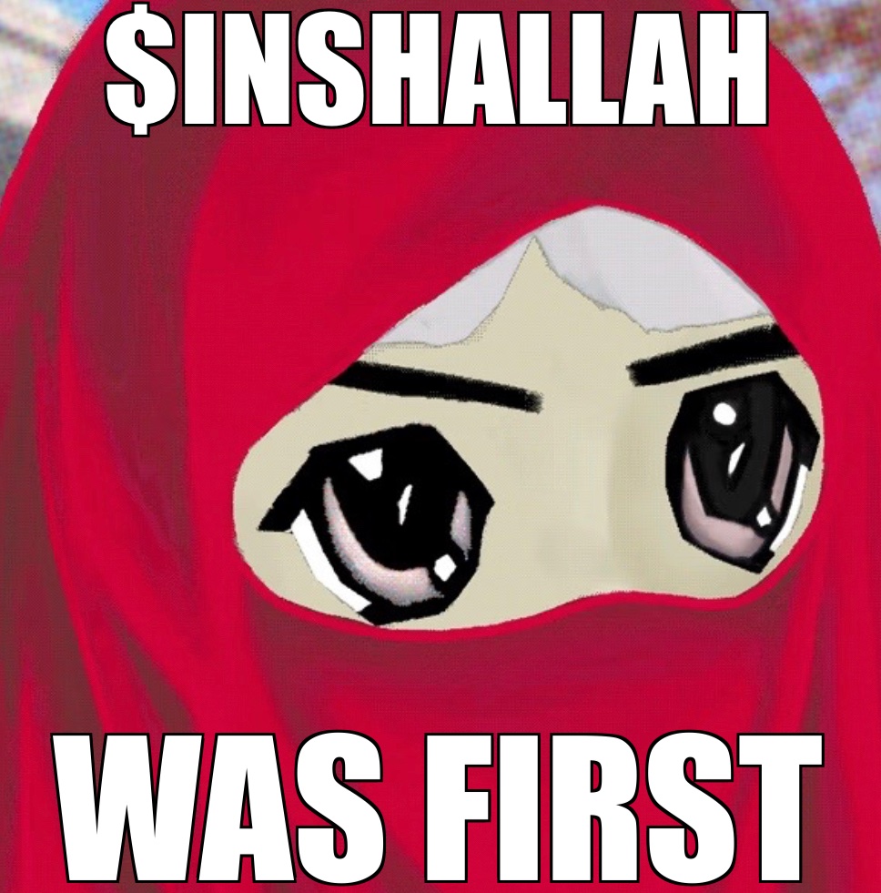 InshallahCoin's tweet photo. 🤲 https://t.co/rsGVW3dQd9