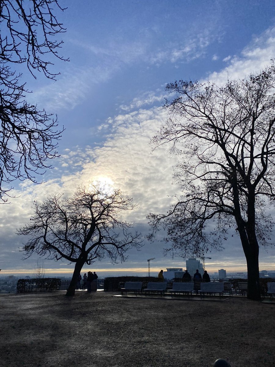 CryptoPuma 🤌 tweet media