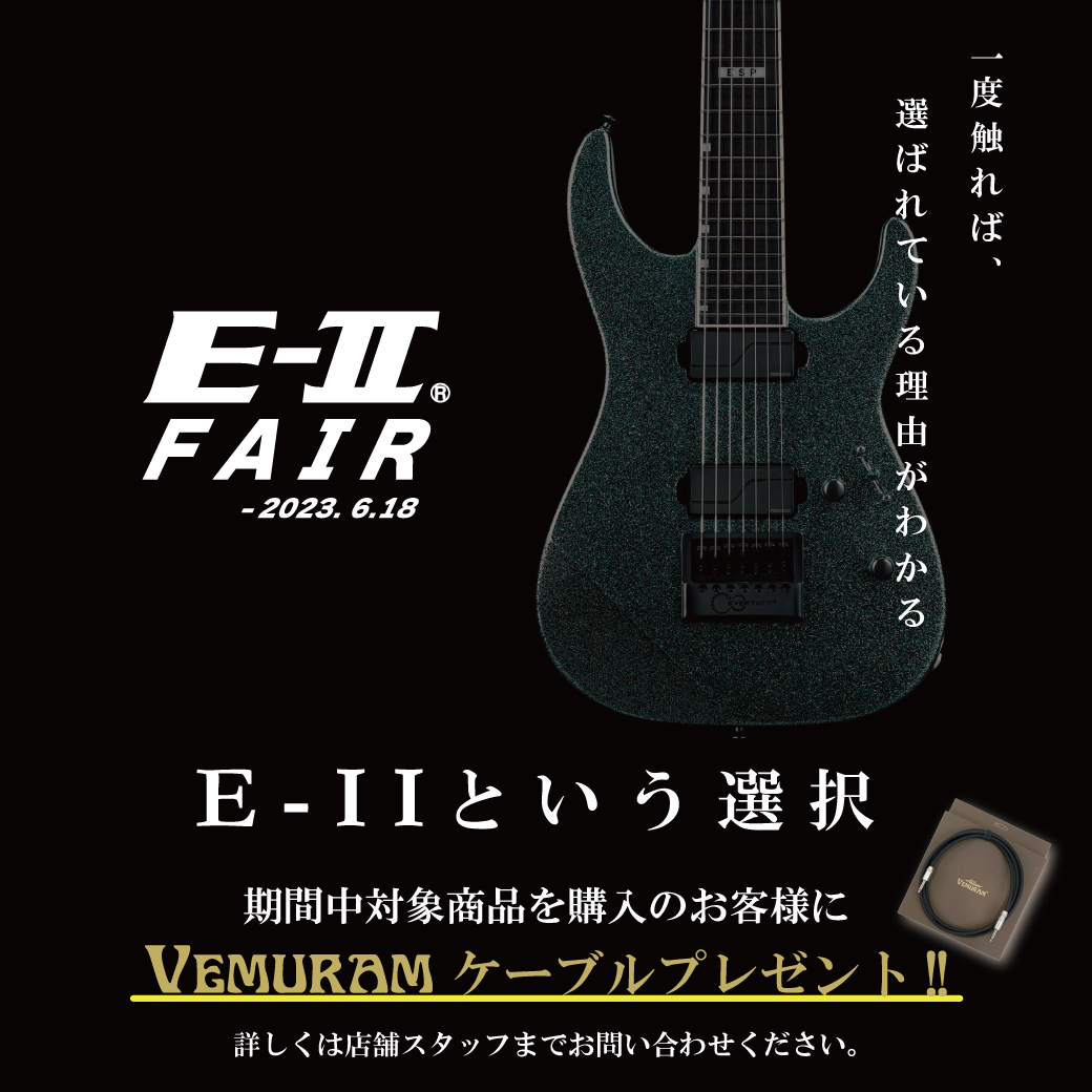 生産終了品G-HR-65.horizon.grassroots.E-Ⅱ | web-flake.com