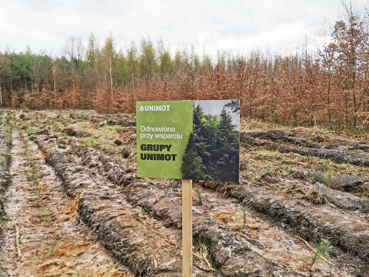 AVIAINTL's tweet image. In total, the @unimot_sa sponsored 24,000 saplings to be planted by the head forester&apos;s staff. This will create a new forest with an area of almost 2.8 hectares. #ZrównoważonyRozwój #ESG #treebytree #planttrees