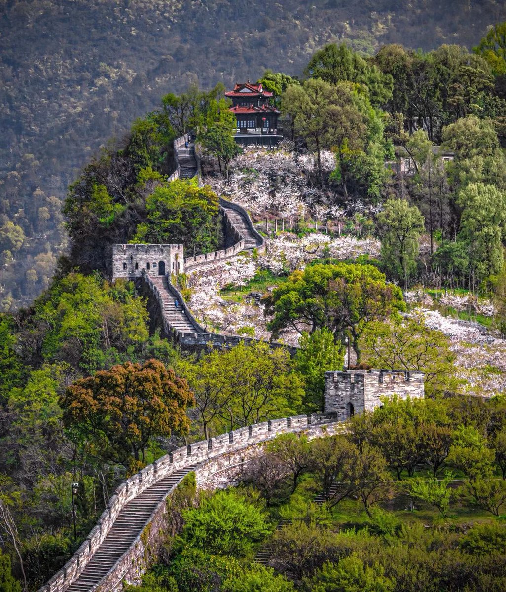 中国の万里の長城。Great Wall of China.始建于东晋的台州府城墙。 #China #台州府城 https://t.co/VNn28eSFIn