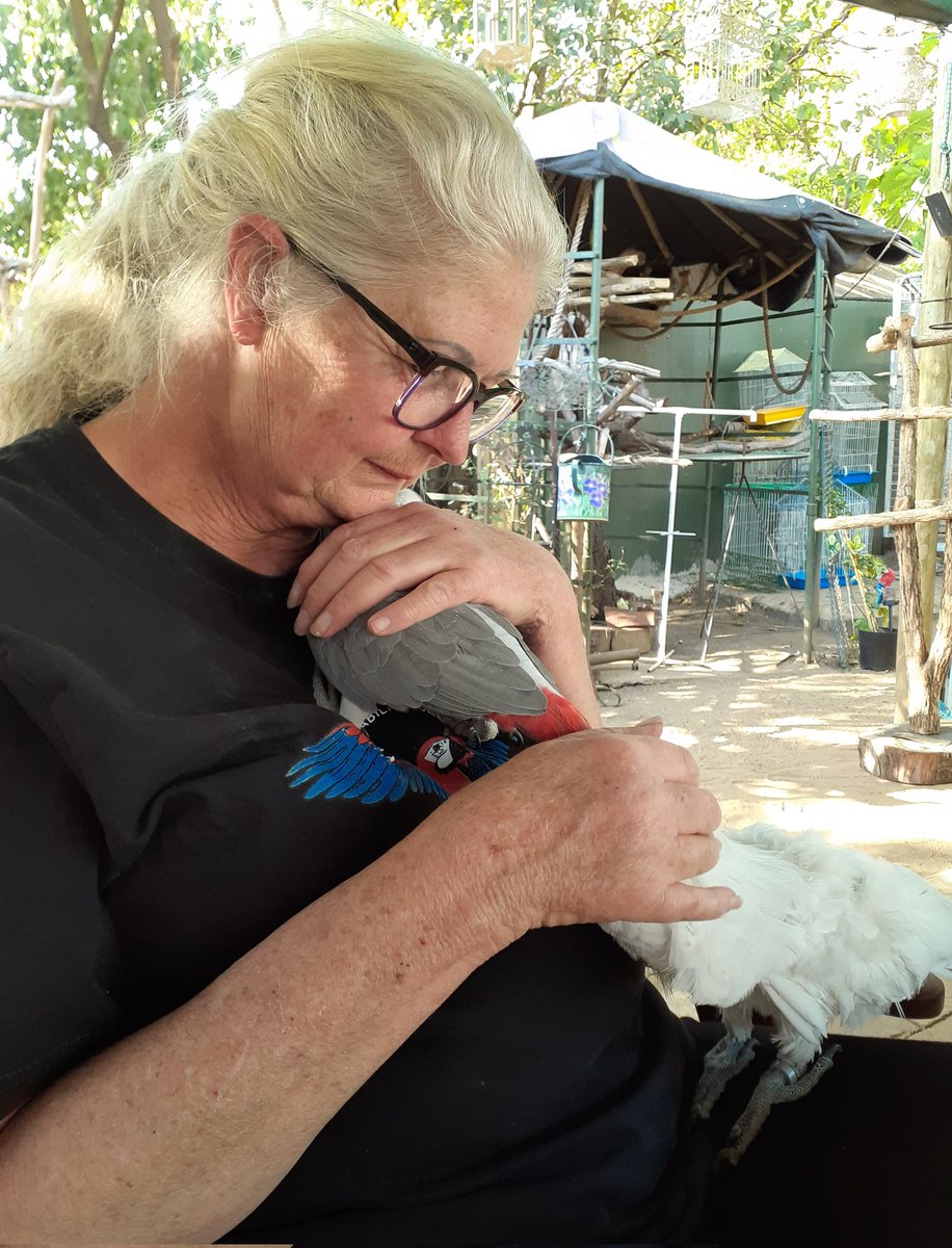 brainybirds_sa's tweet image. From our Mama Dee, mother to all our beautiful flock to all of you out there, a very #HappyMothersDay 

Remember that there's always a bunch of crazy parrots in South Africa that love and appreciate your kindness and support- ALWAYS ❤❤❤