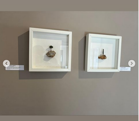 JosepMCompte's tweet photo. Glad about the message that the organizer of the exhibition send me:

“ Ciao Josep come stai?
I tuoi lavori sono piaciuti tanto e sono stati venduti! 
Grazie mille! 🤗” 

#artcontemporanicatala #artvenice  #torroellademongriart #torroellademontgri #venice  #treesgiveuslife https://t.co/IaGHUmZr3a