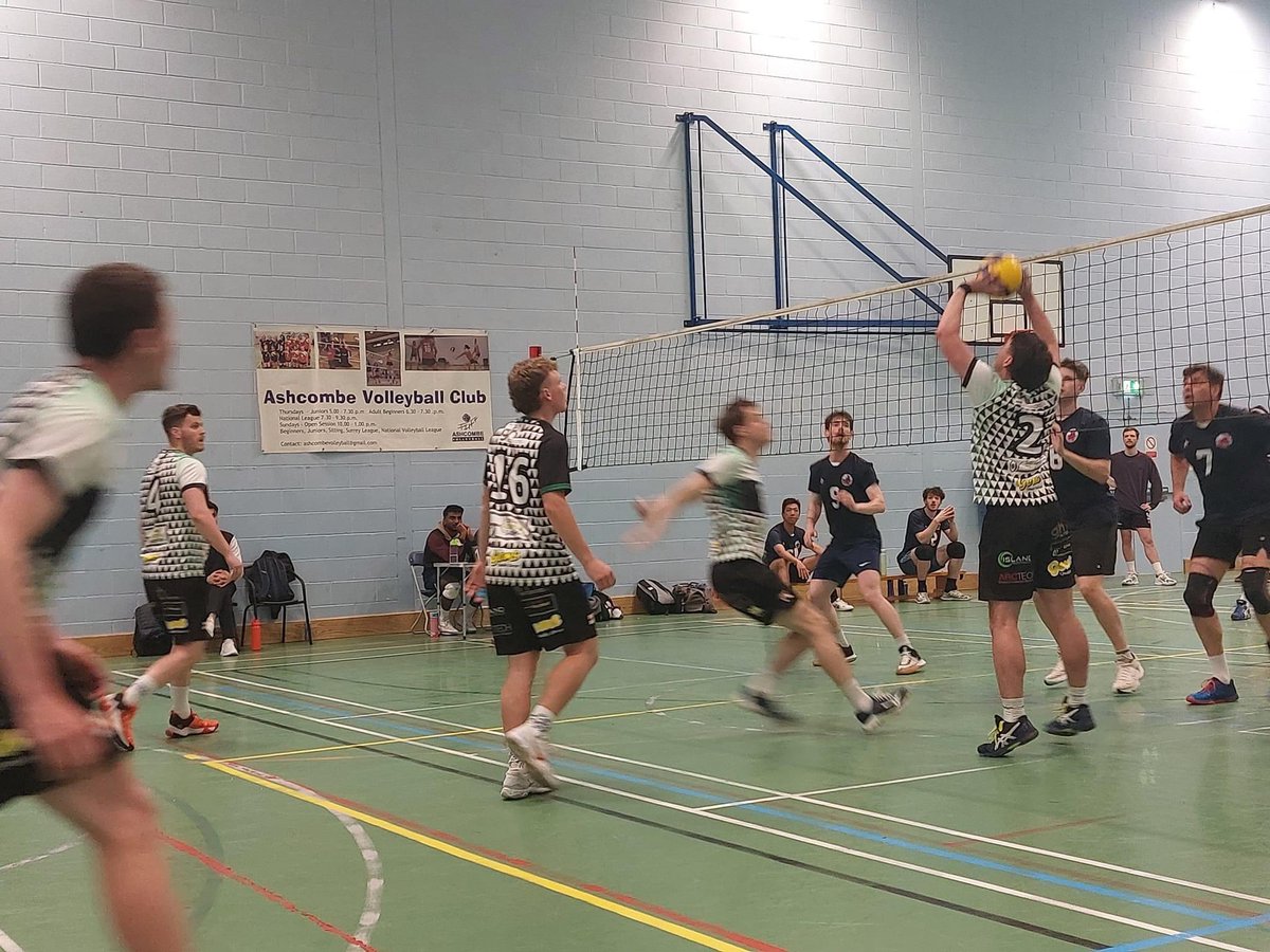 Ashcombe Volleyball tweet media