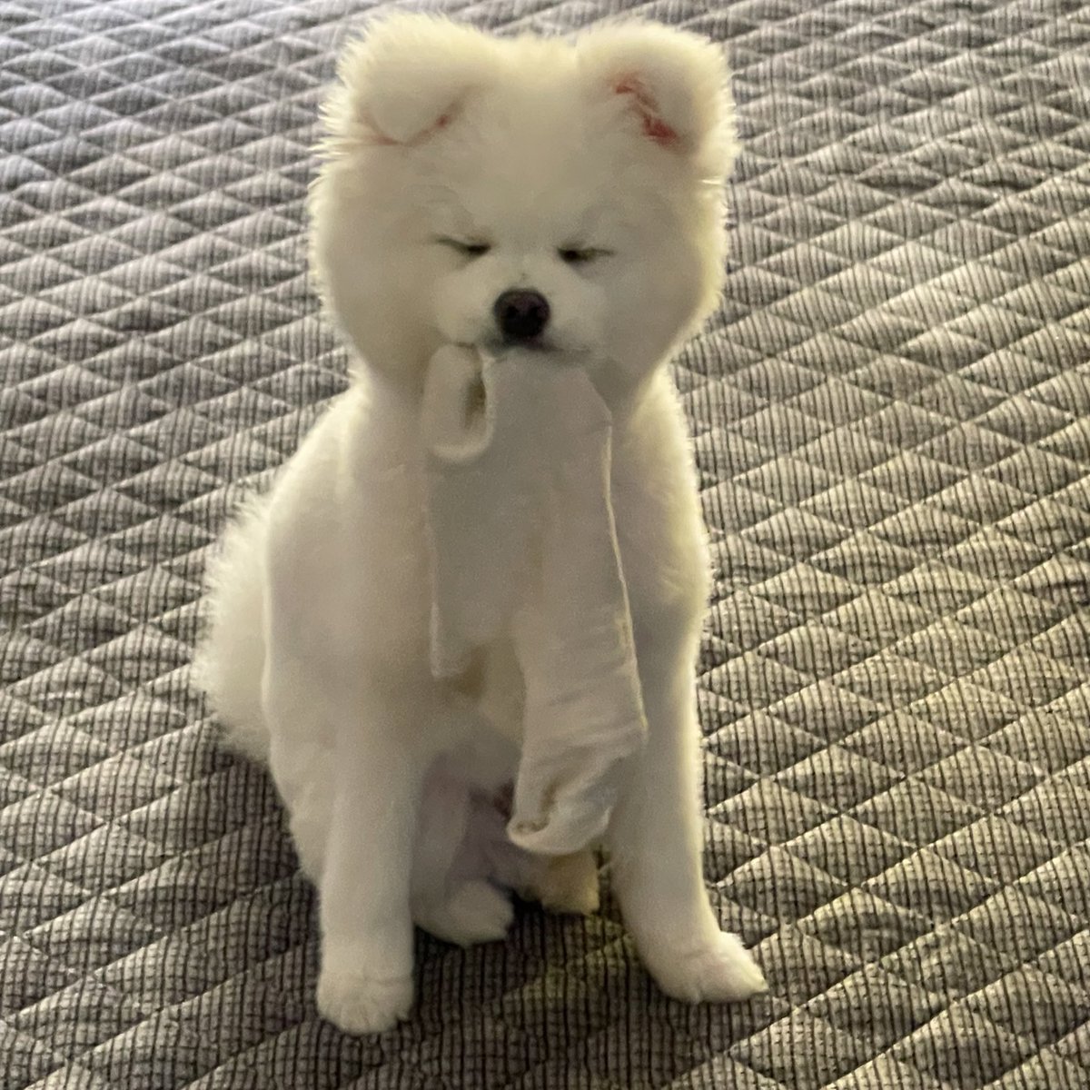 저기요 제 양말 왜 뺏어가요 돌려줘요