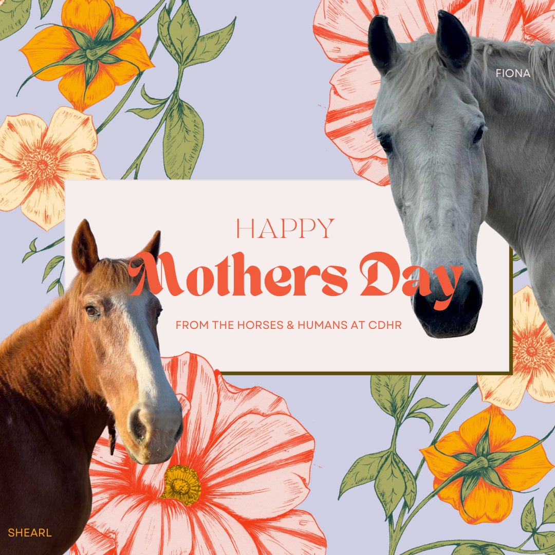 CTDraftRescue's tweet photo. May moms of every species enjoy love and peace today! We hope all moms, caregivers, and maternal figures enjoy their special day! Thank you for all you do and the love you share. Happy Mother's Day from CDHR! https://t.co/ekwJgl3tzS