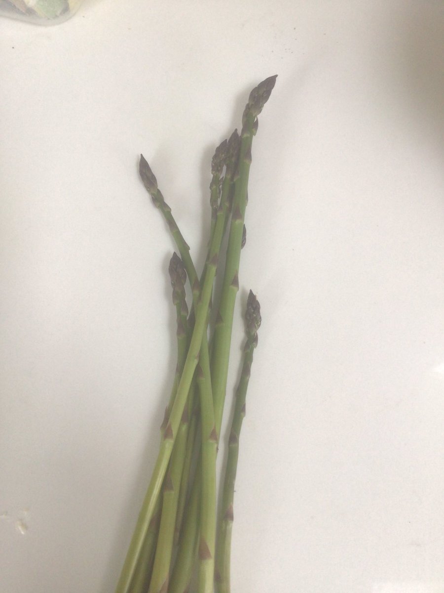 We’ve been eating asparagus from our garden almost every day for a month. Talk about An Dagda’s cauldron.

#growing #Homegrown #writerslife #writingcommunity #asparagus #Dagda #irishwriters #writersoftwitter