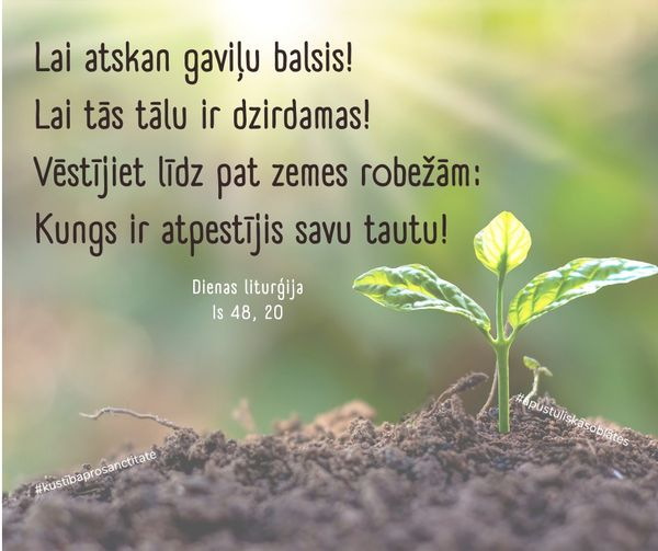 RefaloRita's tweet image. #prieks #vēstīt #pestīšana
#apustuliskāsoblātes
#kustībaprosanctitate