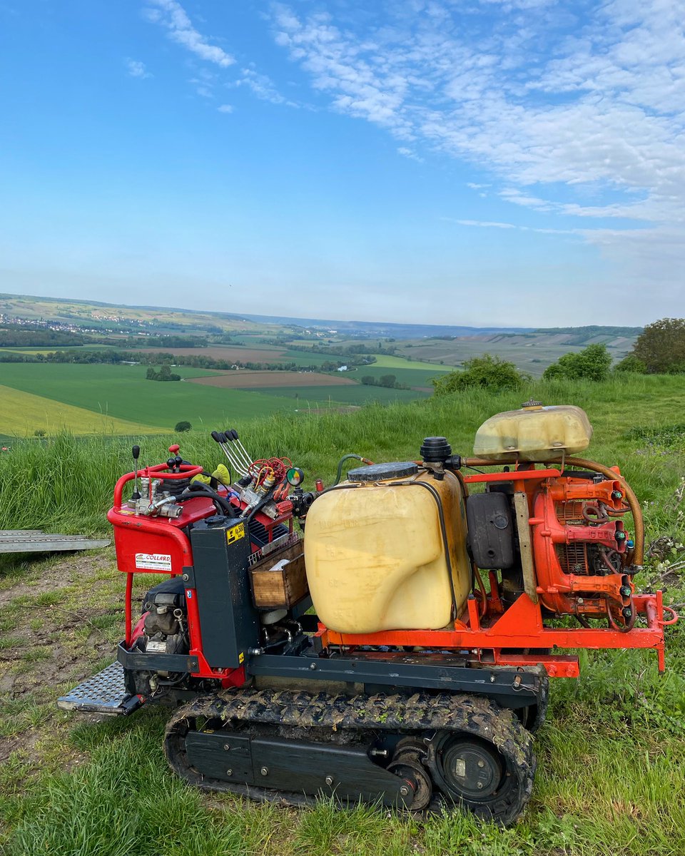 ChampagneSAVOYE's tweet image. « Si tu veux récolter, oublie week-ends et jours fériés » 
Paroles de vignerons 😅

#champagne #millesime2023 #mildiou #vindiou #champagnemathildesavoye #meunier #saison #printemps #spring #vineyard @MathildeSAVOYE