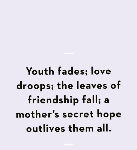 Native tv international tweet media