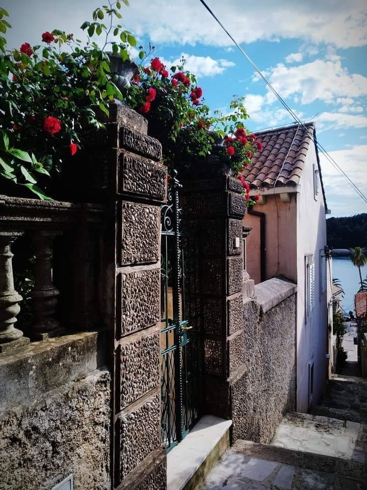 Cavtat🥰