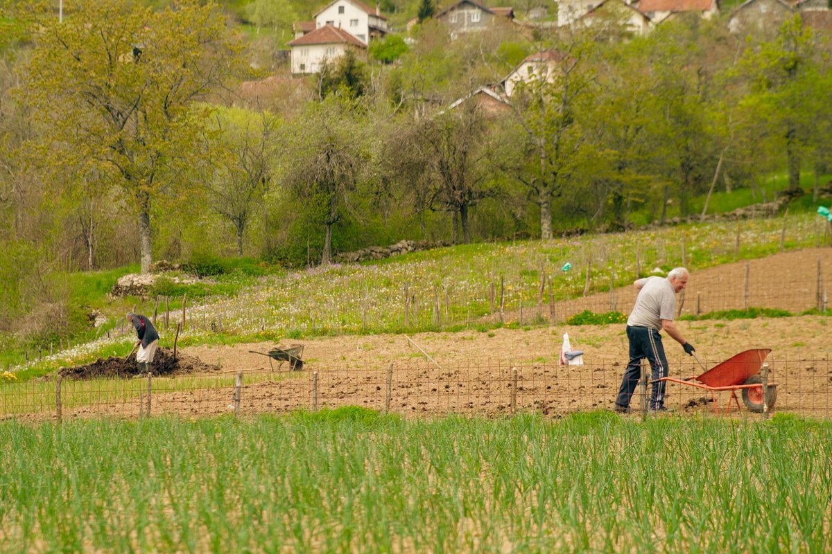 AJBalkans's tweet image. Zelene milje: Ostavljamo rodnu zemlju da zaraste u korov i trn ajb.me/8nflrc