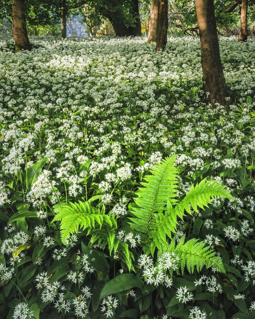 Due to being a flipping idiot and ending up in A&amp;E  on the nicest day of the year so far.. Ripped ligament in my left ankle, I'm blaming a combination of the dog for digging little holes and gardening, won't be doing that again any time soon ... I am unl… instagr.am/p/CsNmTq9KTW_/