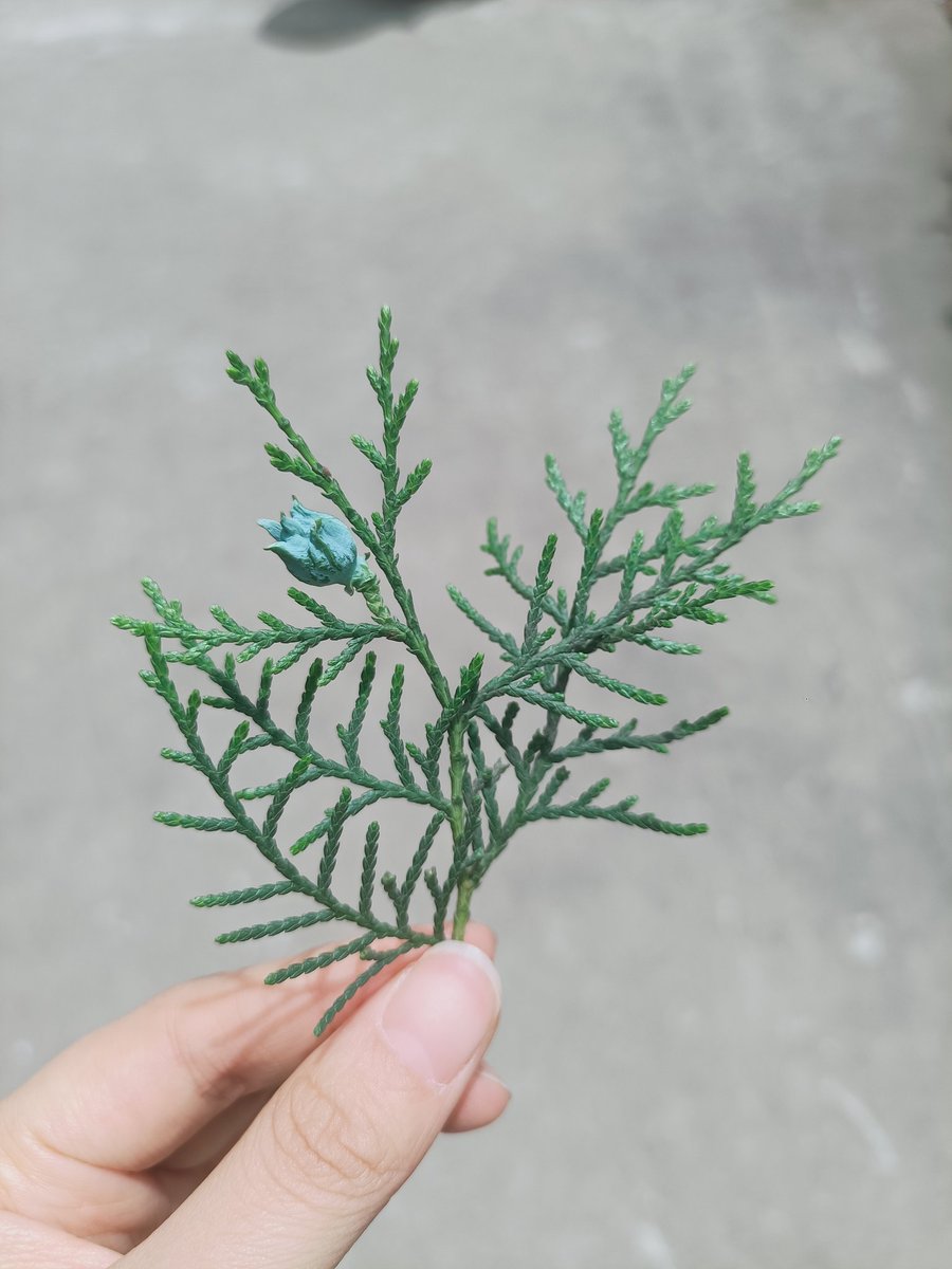 Ian伊恩 tweet media