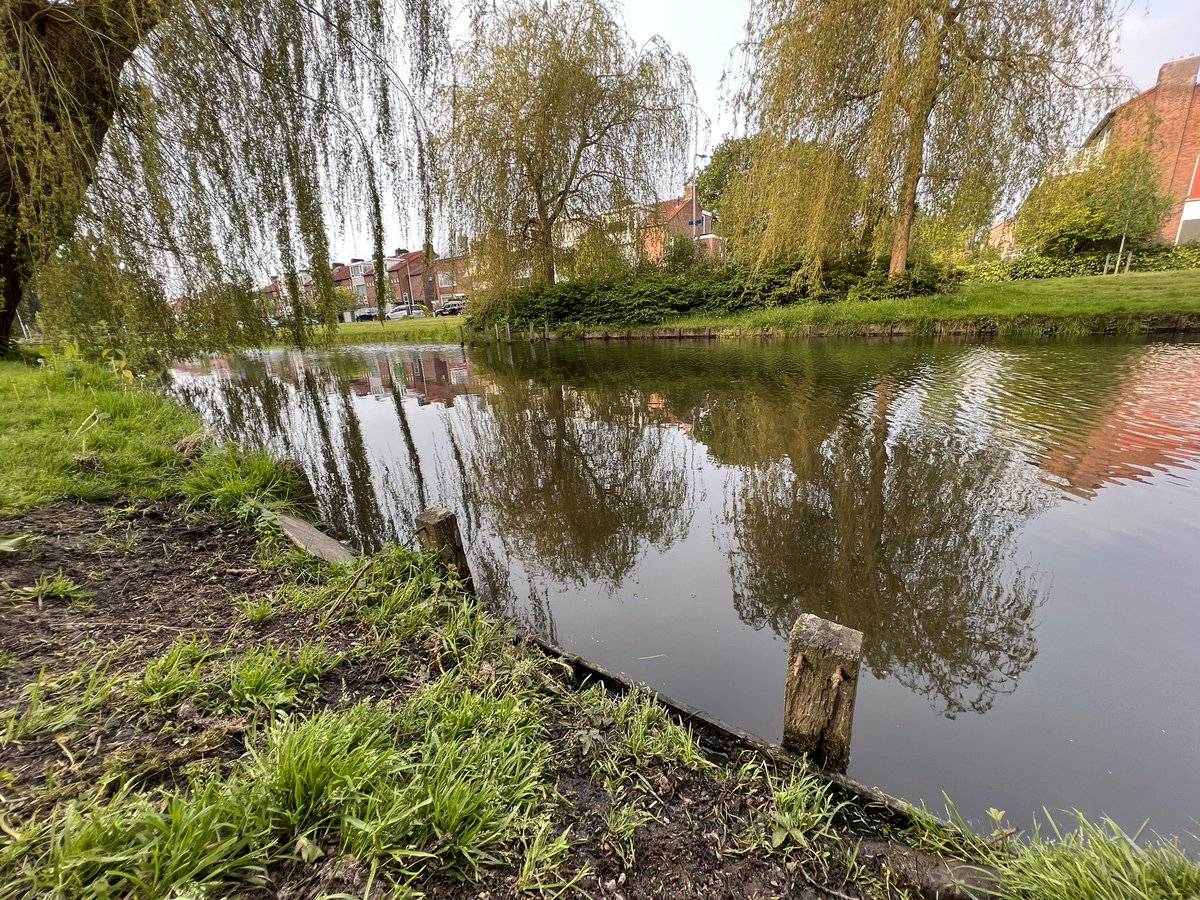 aktasm's tweet photo. @Gem_Amstelveen @Boswachterij this situation in this season is terrible for dogs! This a scene from our daily path at Selde Rust, Amstelveen, and Amsterdamse Bos is same 😕 Moldy nails, broken dijks, is it that hard to maintain &amp; fix? https://t.co/L6ddgFGLIU