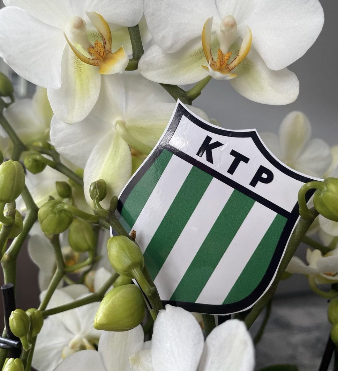 FC KTP Juniorit ry tweet media