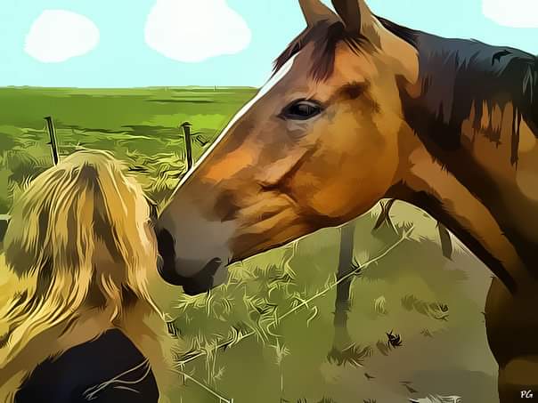 Liane ♞♞♞ tweet media