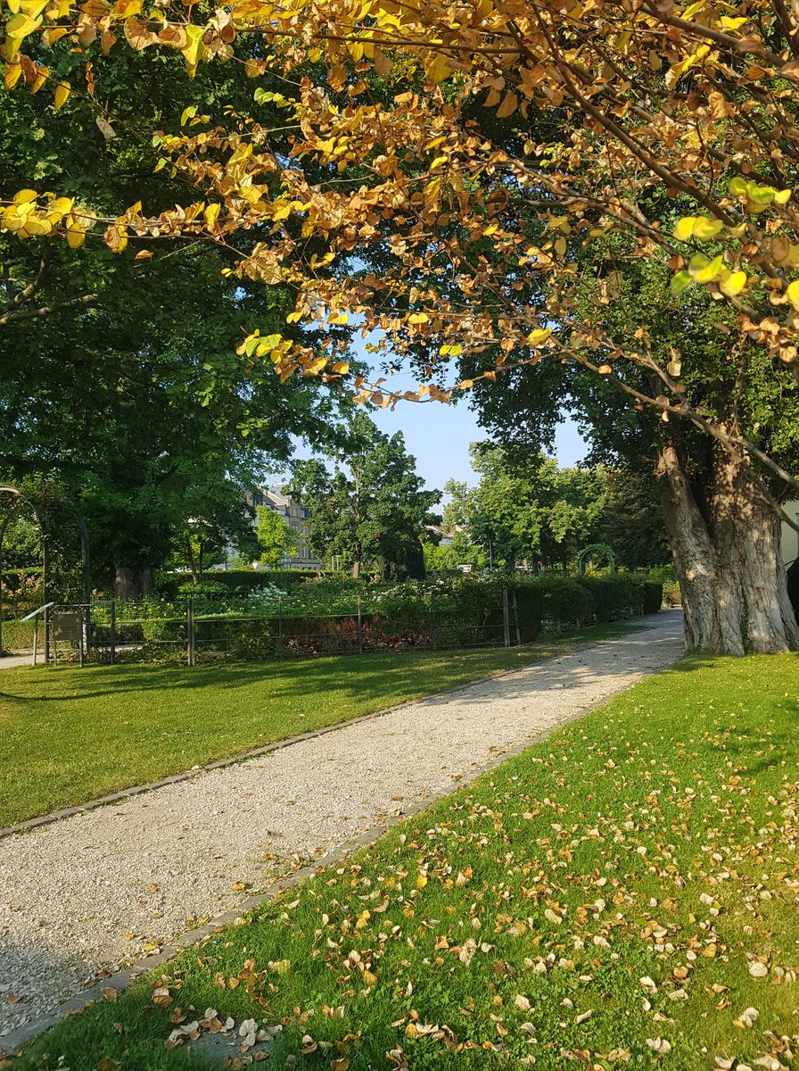 Wünsche euch einen schönen und sonnigen Sonntag! Gude Morsche