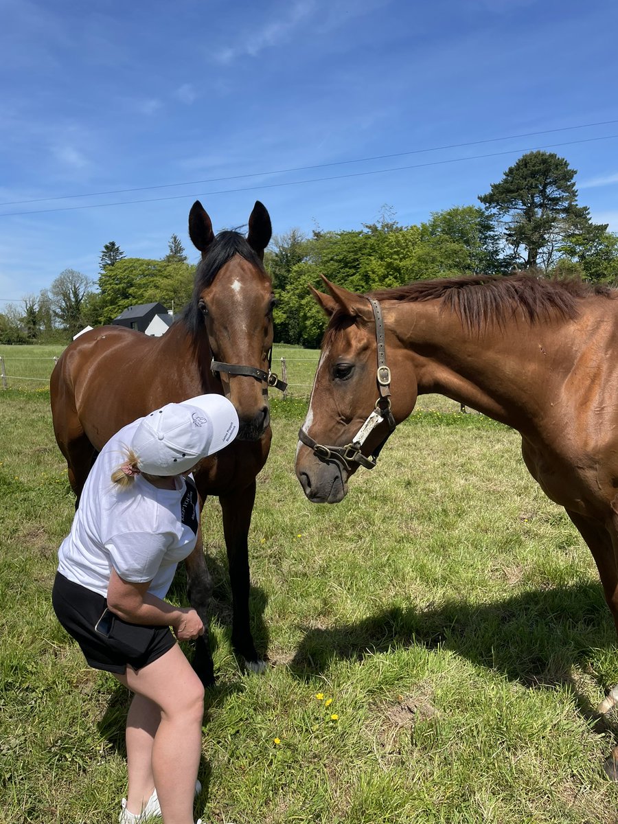 My beautiful boy enjoying his holidays in the sun with his new bestie #homebythelee #banbridge <a href="/bpowell13/">Brendan Powell</a> <a href="/JosephOBrien2/">Joseph O'Brien</a>