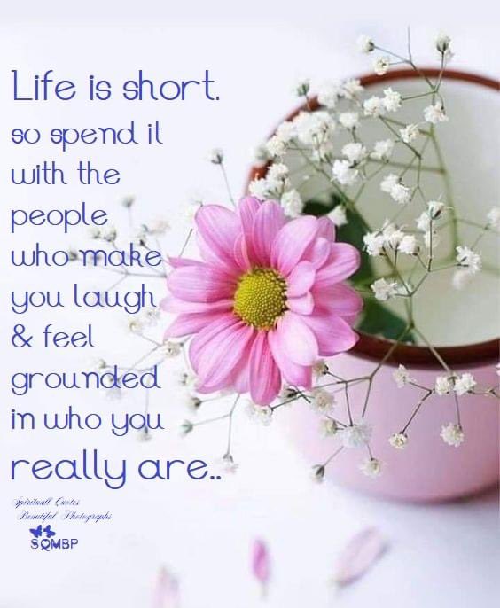 DaisyDreamer01's tweet photo. Good morning gorgeous people 
Hope you are ok and that you have a very happy Sunday 
Take care and stay safe 💛 https://t.co/GRbUyXRQPS