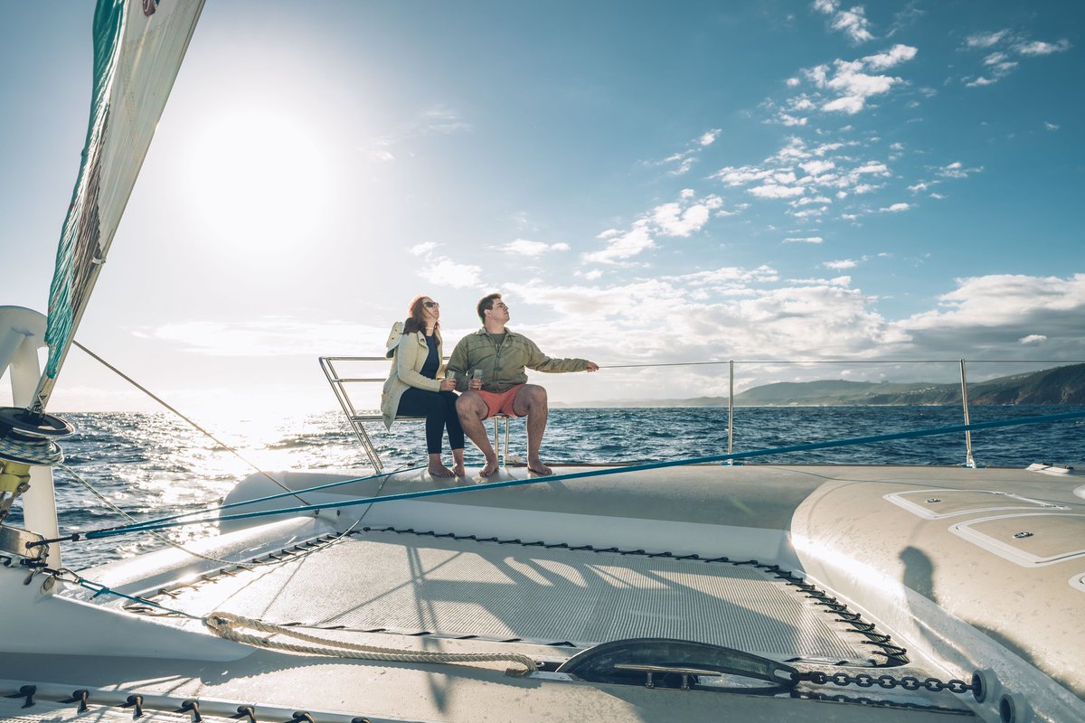 Ocean Sailing Charters tweet media