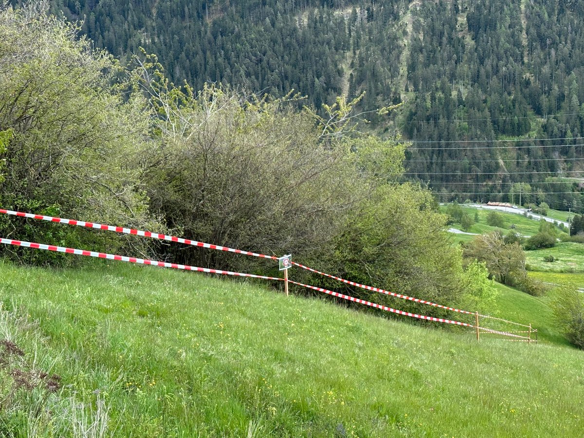 Gemeinde Albula/Alvra tweet media