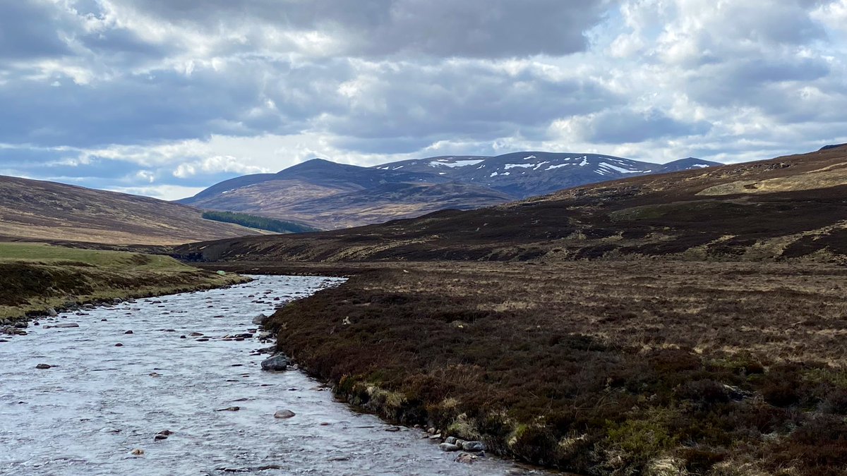 Grant Moir tweet media