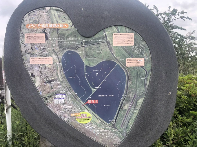 五家宝ソフトうまし! わたらせ遊水池いってきました。 三県またいぎも行ってきましたよ〜