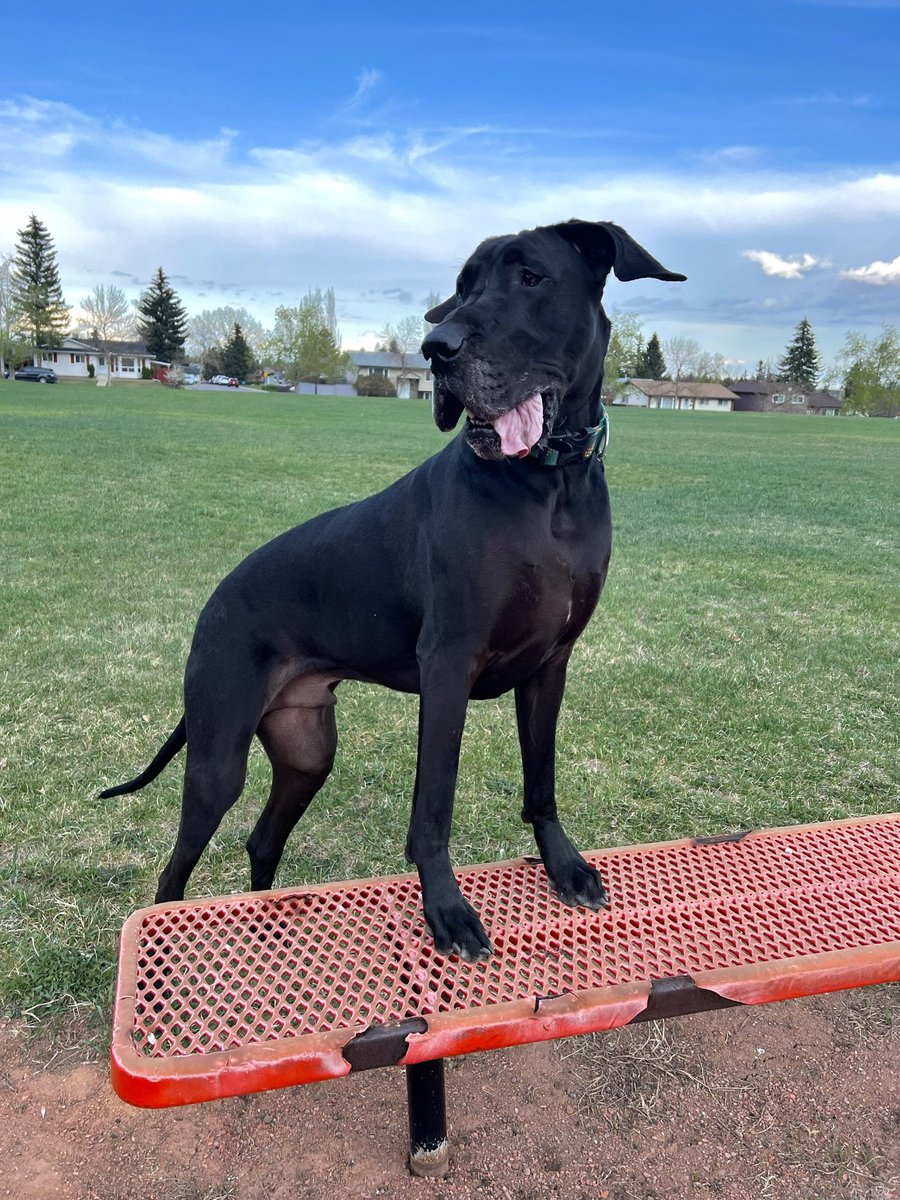 jaymeemartin3's tweet photo. Was about time for some new photos of my #1 boy 🖤🖤 https://t.co/KX8sDPgP4N