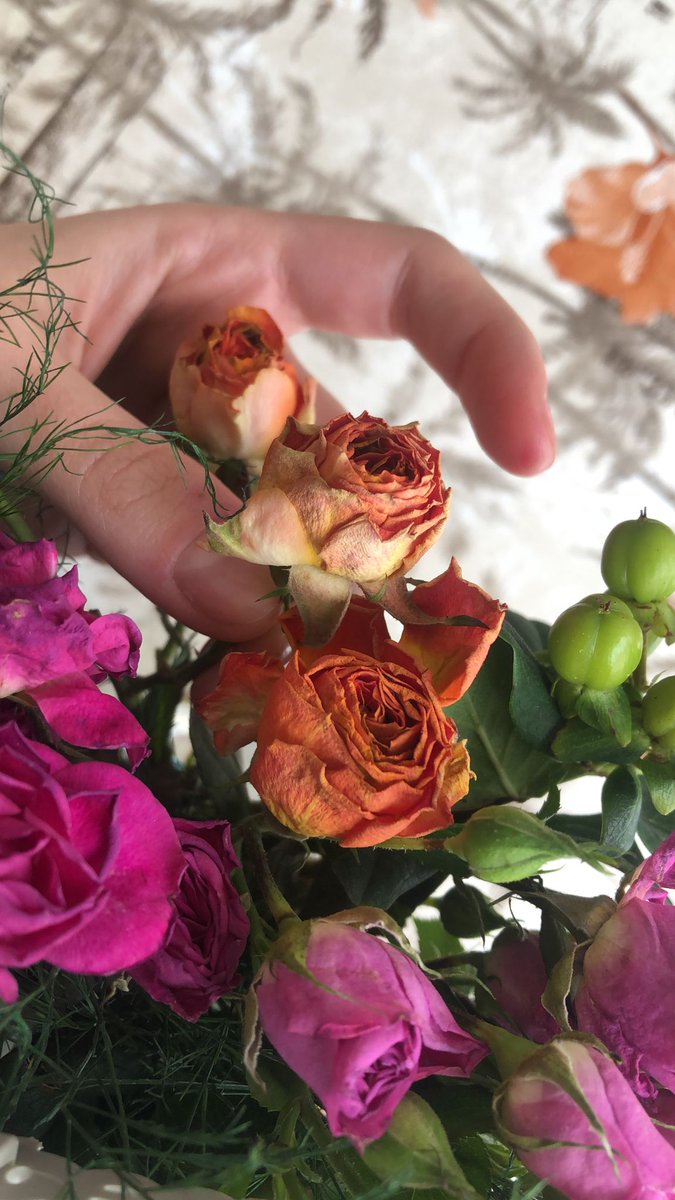 carloslischetti's tweet photo. @ciceksepeti Anneler günü için gelen çiçek, 1 aylık çiçek yollamışsınız, kuru çiçek istesek kuru çiçek satın alırız değil mi? İnsan şunu paket yaparken utanır, hediyemizle utandırdınız @ciceksepeti sipariş numaram 332969835 bakalım bir aksiyon alacak mısınız? https://t.co/IehpW5NZgW