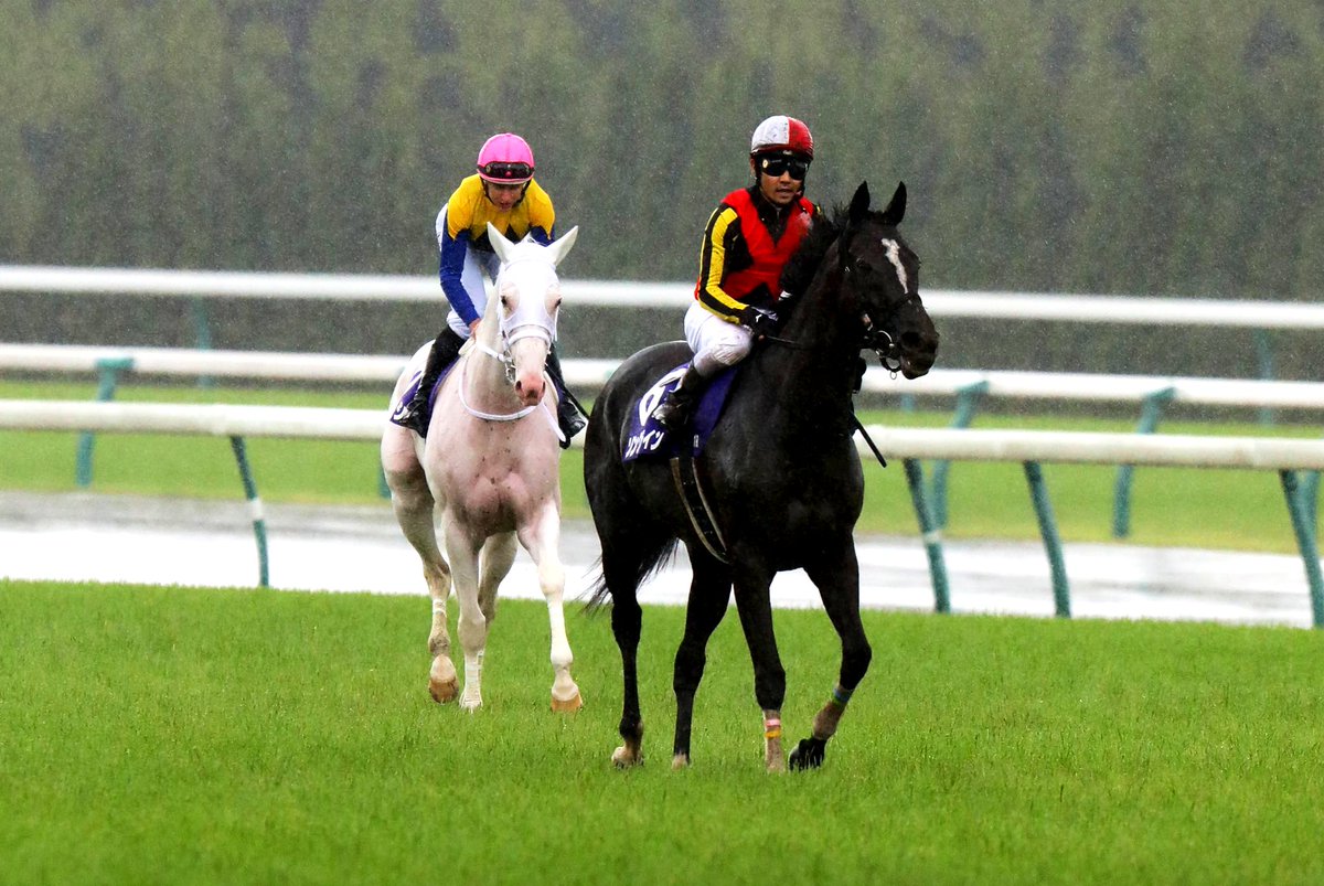 Two superstars. SONGLINE ソングライン vs SODASHI ソダシ One