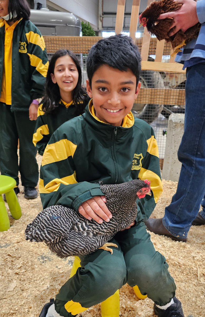 No, we can't take them back to school!
Our 1st excursion where we needed to head count the animals too! 1 sheep, 2 sheep, 3 sheep...🤣 <a href="/RAS_NSW/">RASNSW</a> Farm Days excursion
#LoveWhereYouLearn #science #education <a href="/janholt07/">Jan Holt</a> <a href="/mrhappyhung/">Daniel Hung</a>